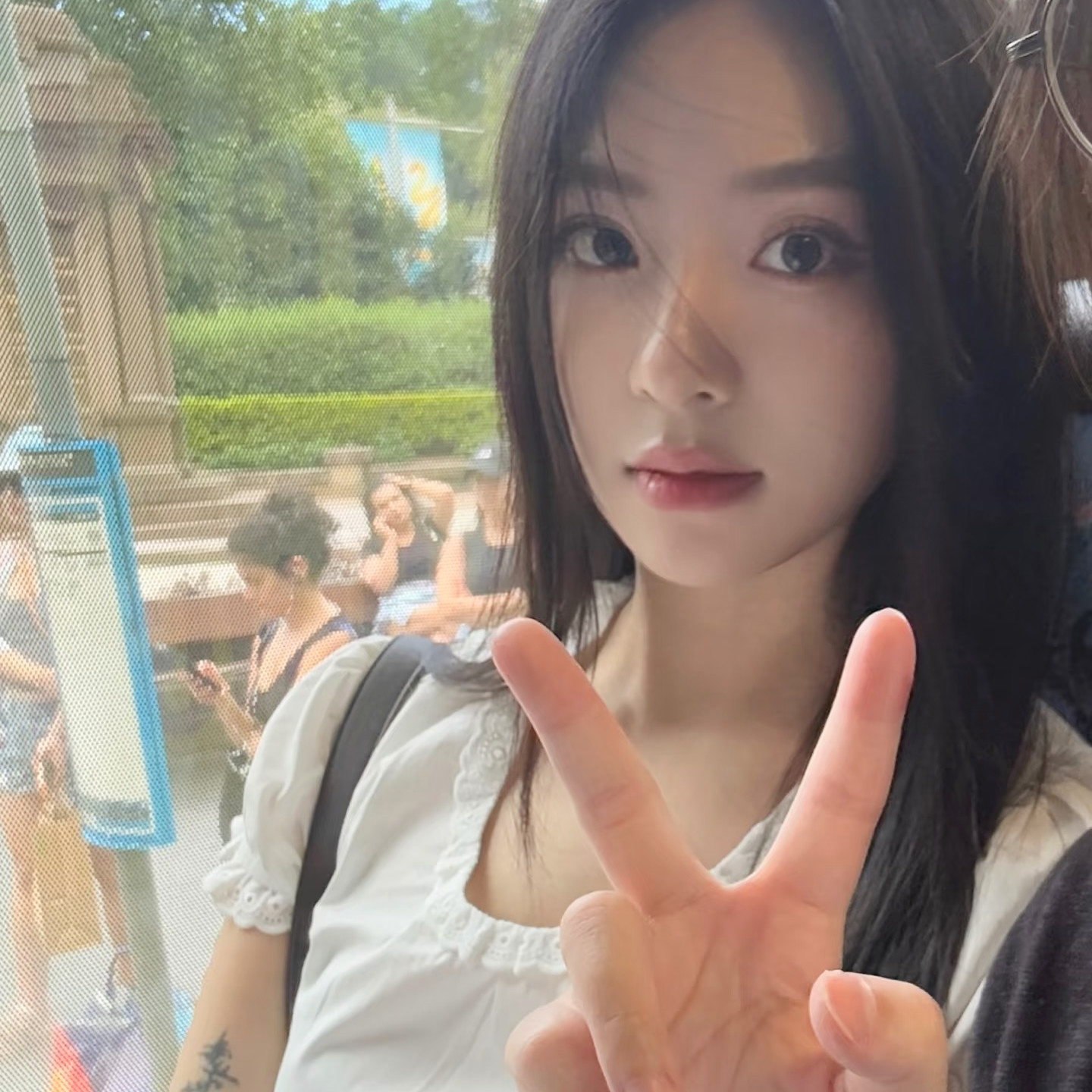 King Charles Cavalier